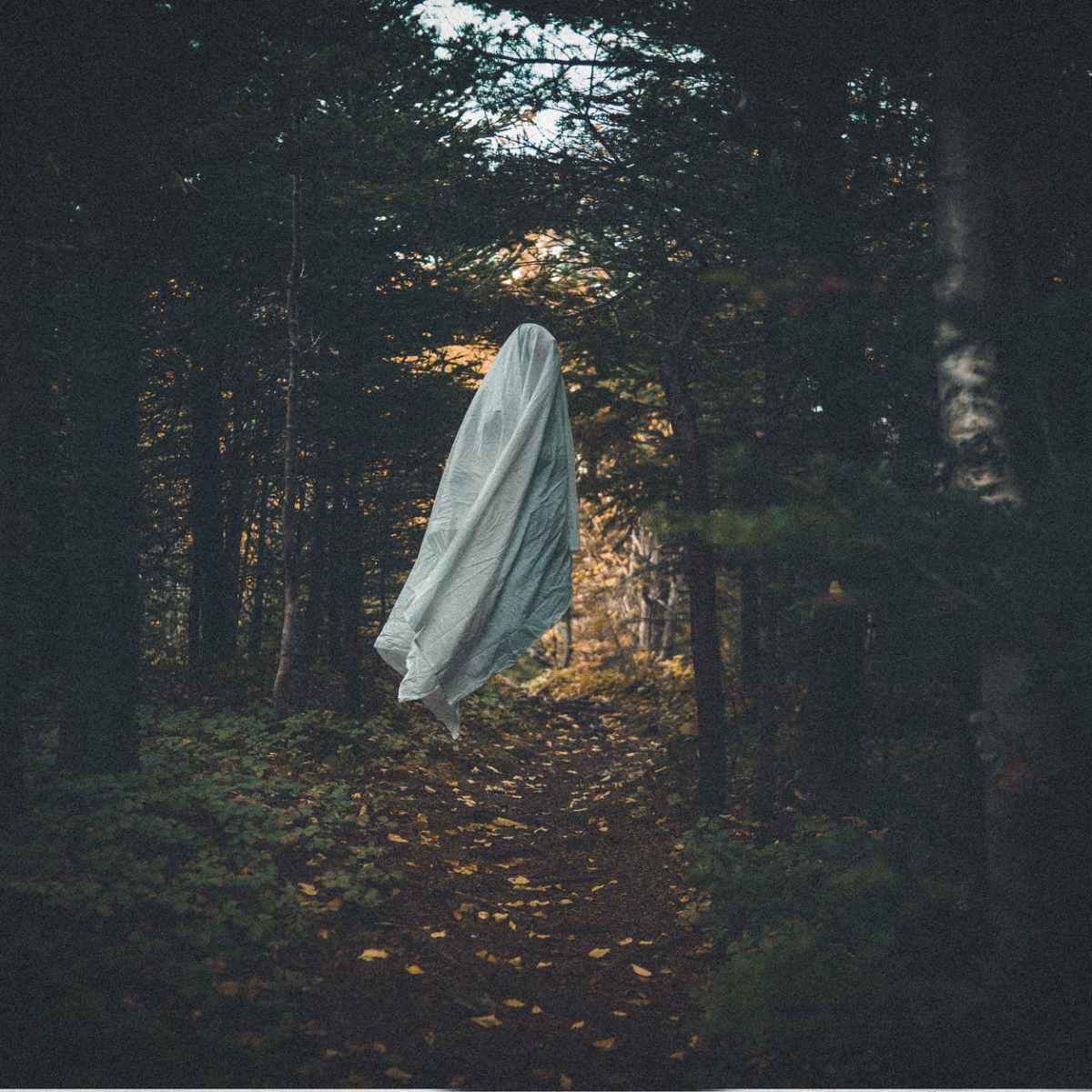 IL LUTTO, IL DOLORE DELLA&nbsp;PERDITA