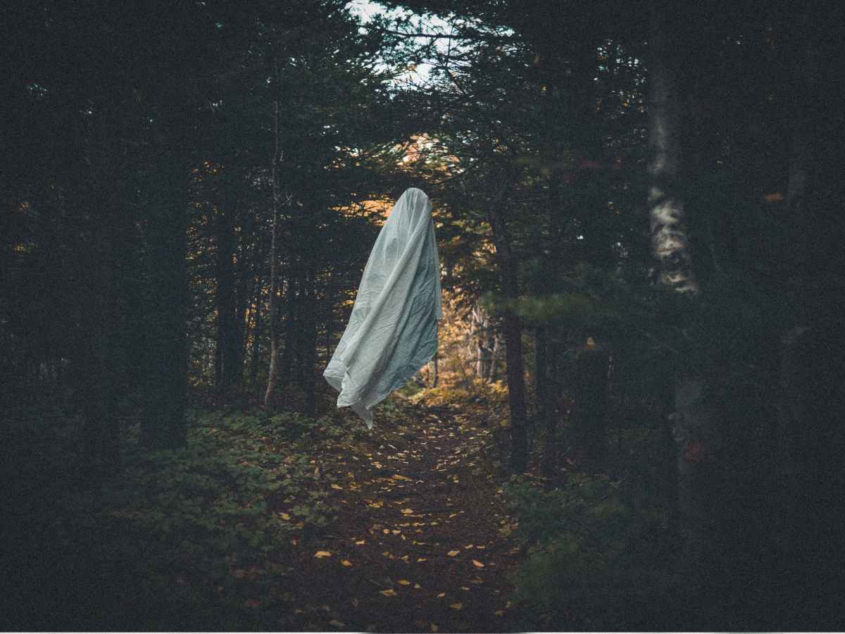 IL LUTTO, IL DOLORE DELLA&nbsp;PERDITA